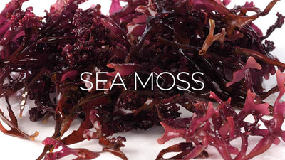 Caribbean Sea Moss - The Myth, The Moss, The Legend. Get All The Facts!