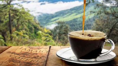 Just one of these Jamaica Blue Mountain Coffees will fuel you for a goal-crushing day!