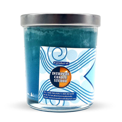 Erythan Enterprises Ocean Breeze Scented Candle, 6oz - Caribshopper