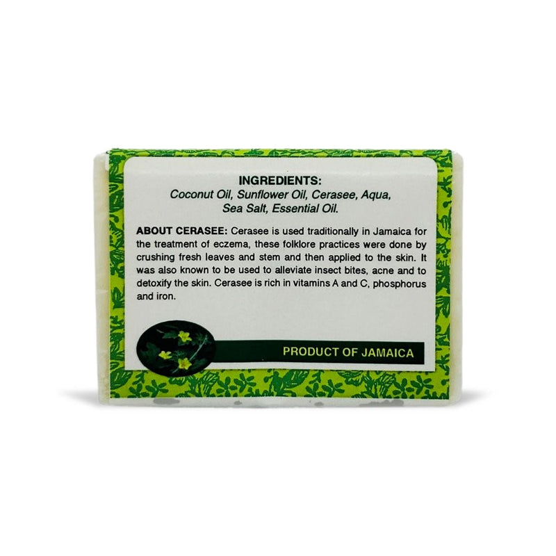 KlutchJa Organics Cerasee Face & Body Bar, 3.8oz (Single & 2 Pack) - Caribshopper