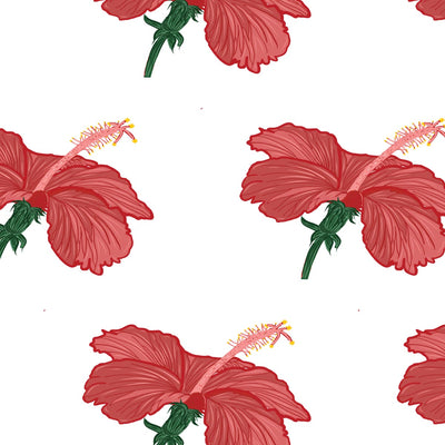 Light Blooms First Bloom Wrapping Paper - Caribshopper