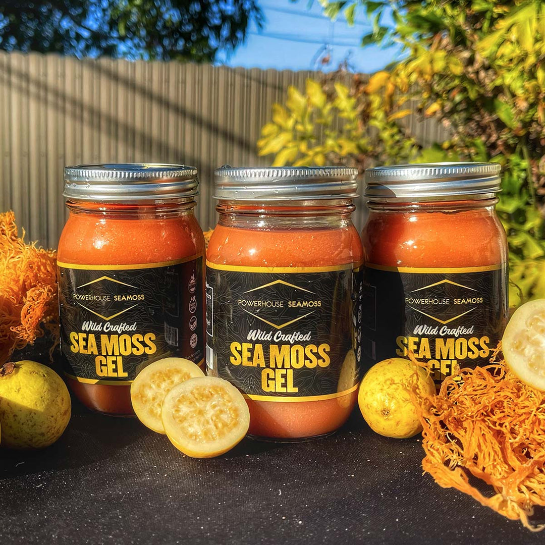 Powerhouse Seamoss Guava Seamoss Gel, 16oz – Caribshopper