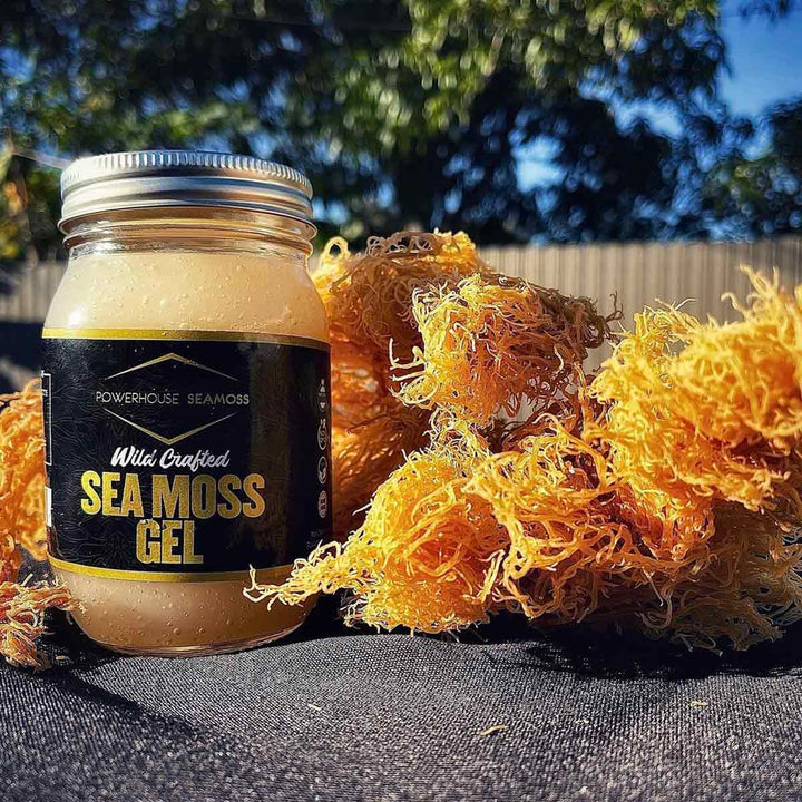 SE ウォッシングムース powerhouse-seamoss-plain-