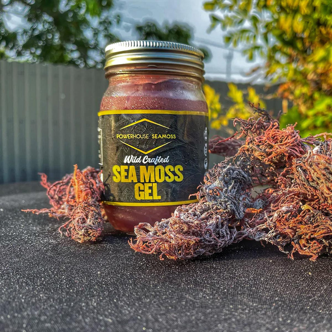 SE ウォッシングムース Powerhouse Seamoss Purple Seamoss Gel, 16oz – Caribshopper